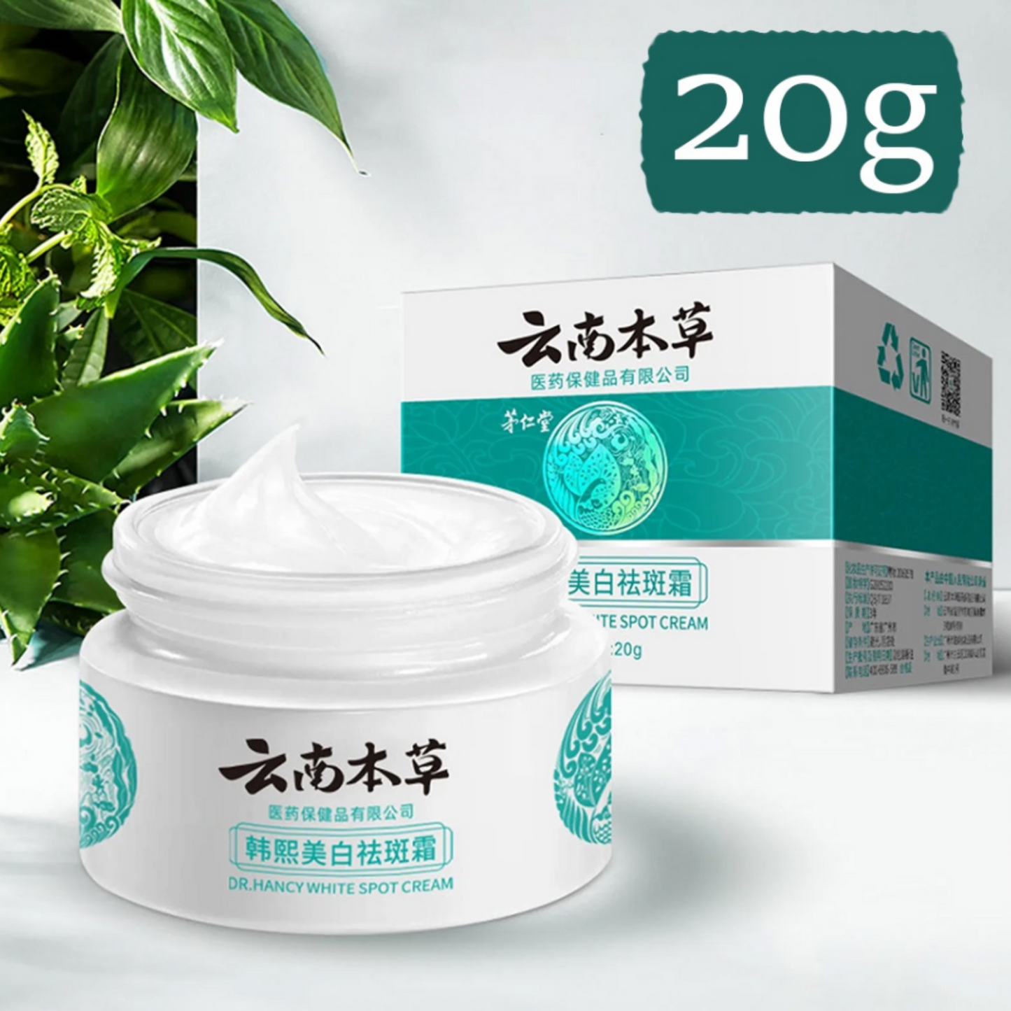 DR. NANCY - JAPANESE MELASMA CREAM (AUTHENTIC)